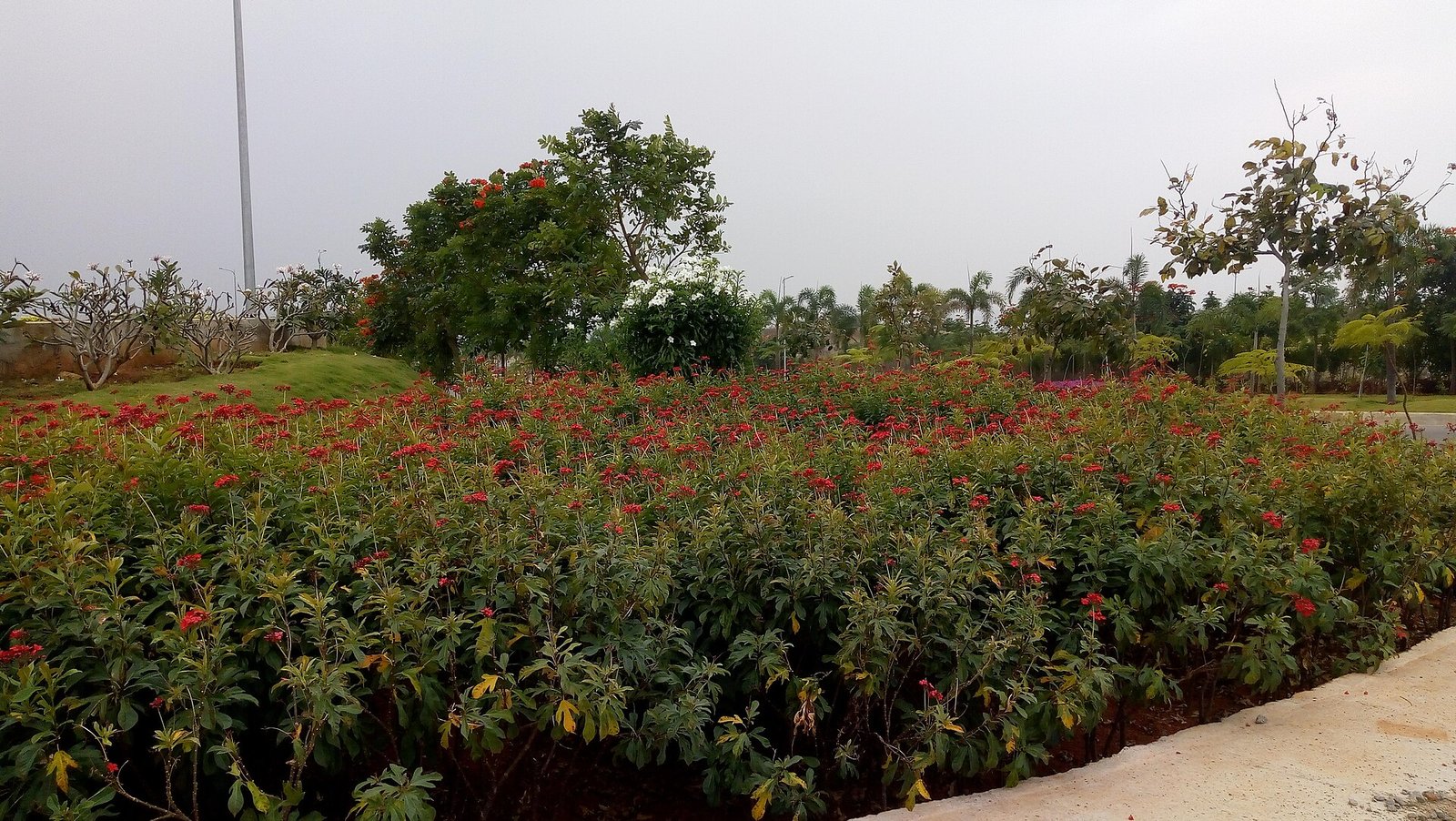 Yadagirigutta