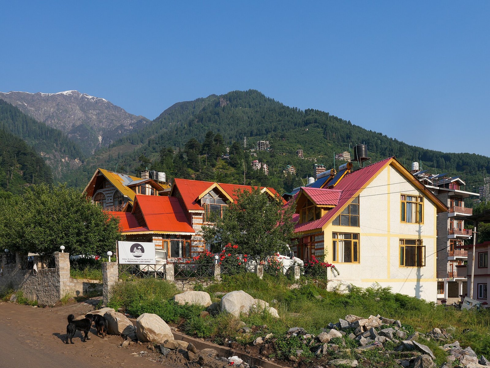 Manali Hill Station – 4 Days photo 5